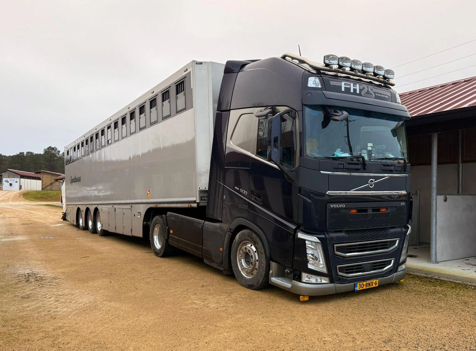 Custom horse transport trailer