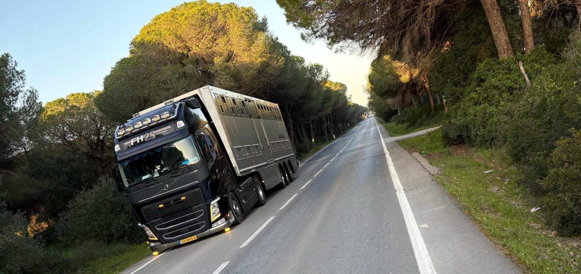 Lorys Horse Transport