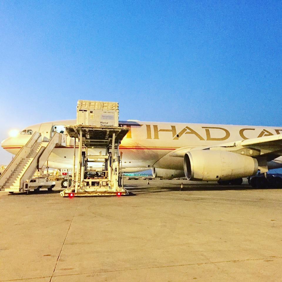 Charter Flights